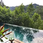 The Shorea