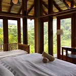 The Shorea
