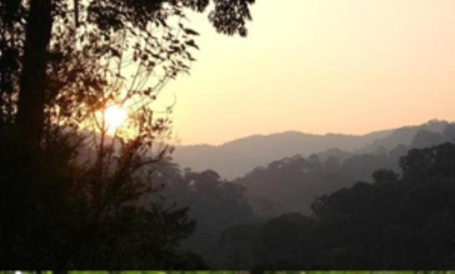 The Shorea Seremban