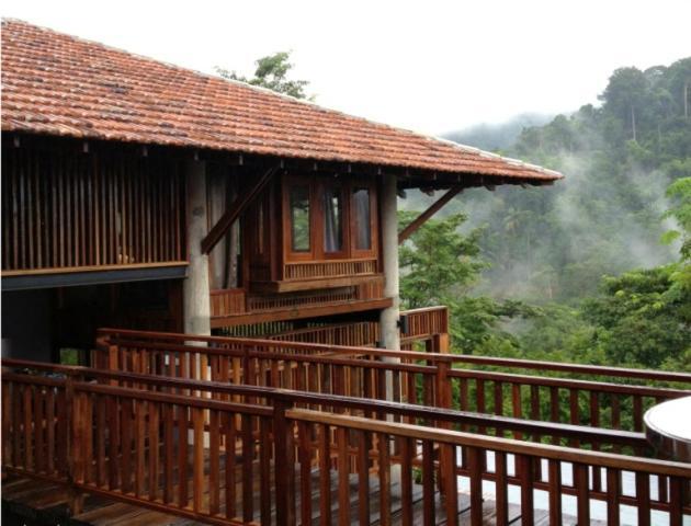 The Shorea