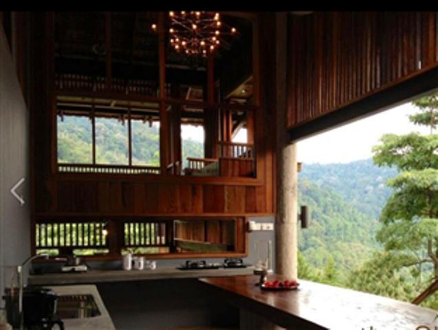 Tempat peranginan The Shorea 3*