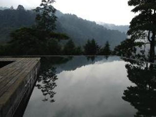 The Shorea Tempat peranginan 3*