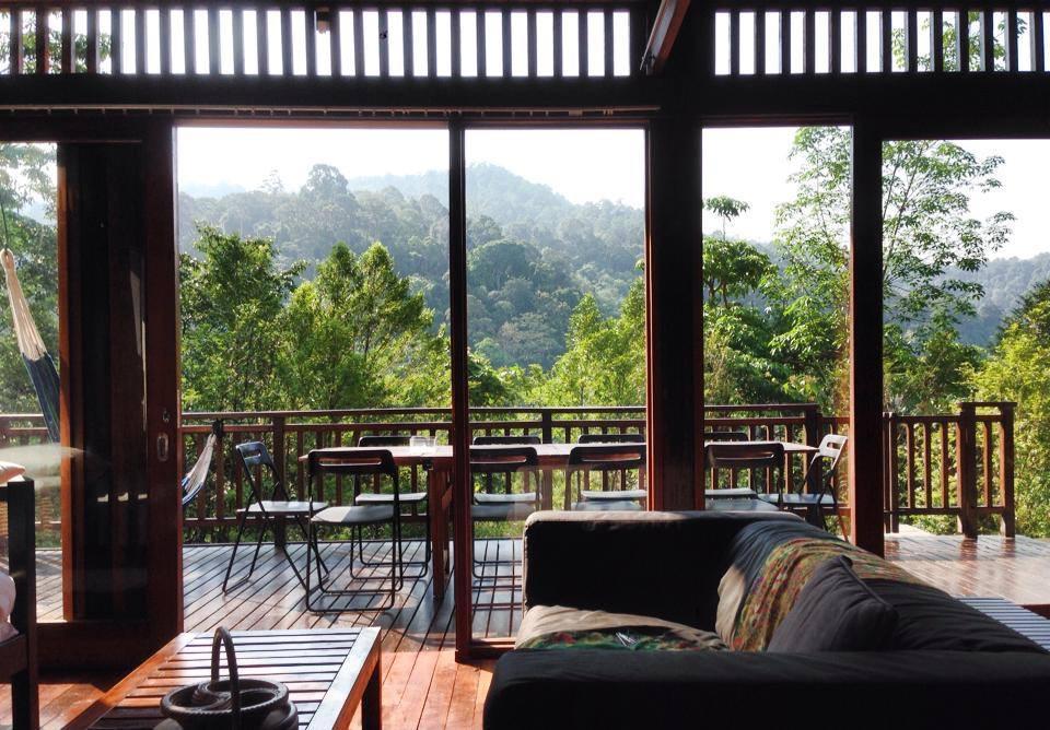 The Shorea