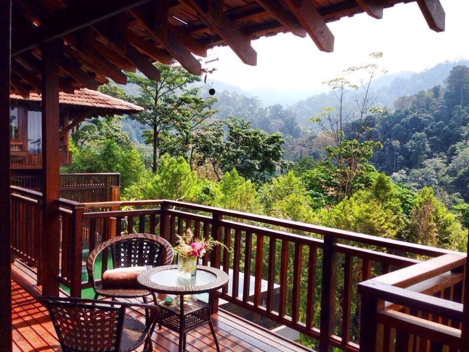 The Shorea Seremban