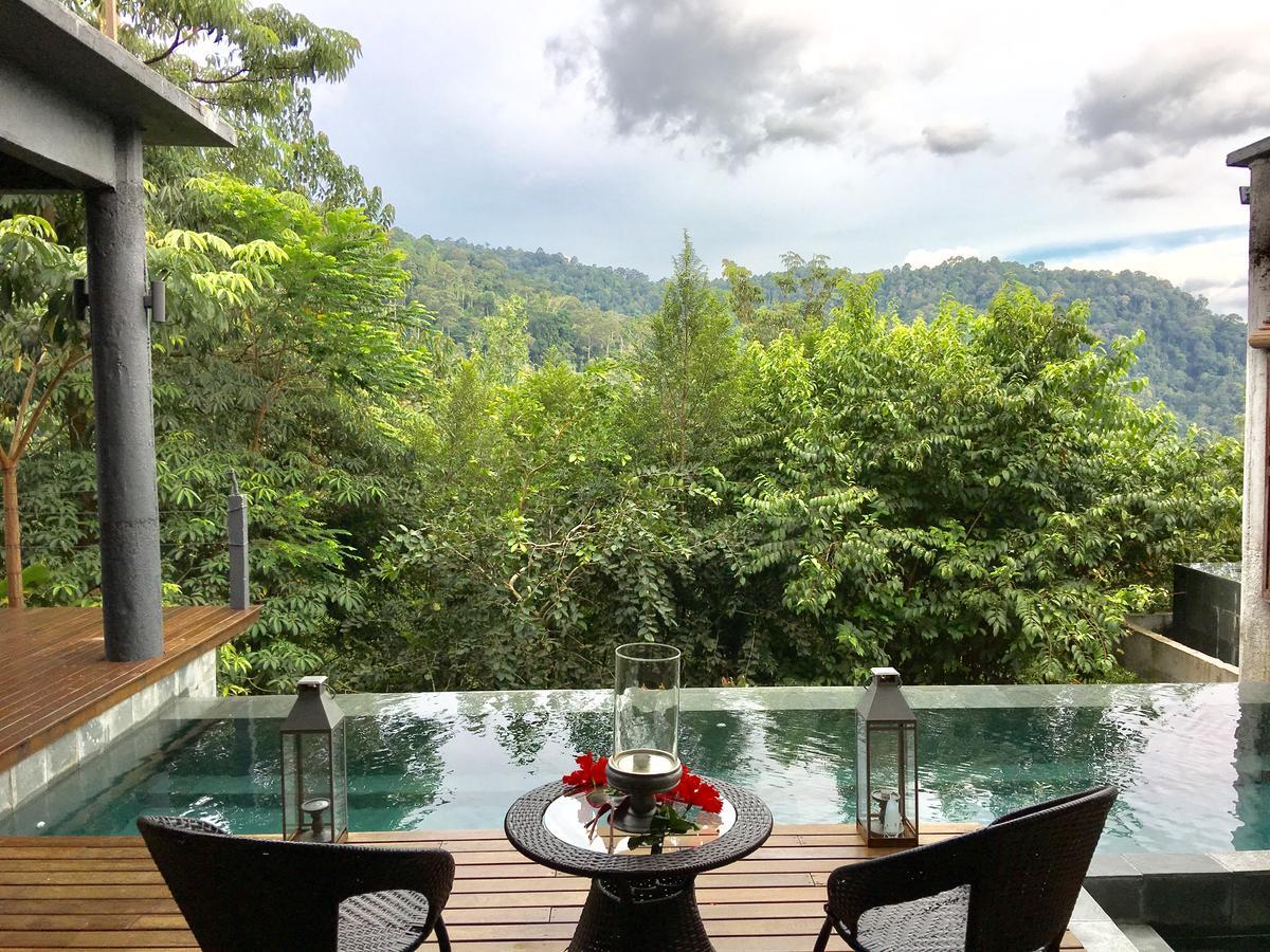 The Shorea 3*